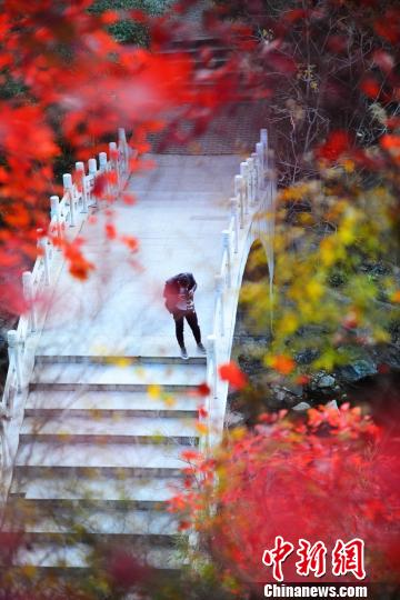 ڶοֳ֡ǹڡ洦ţ׽һͼ 