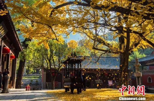 ǧɲڵǧҶƣʣɫӭһ֮ѹڡι 