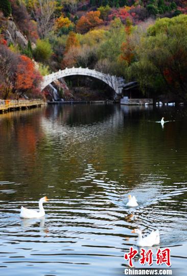 ںҶȷ羰ڵѤϢڴ˵죬չõﾰɫ 