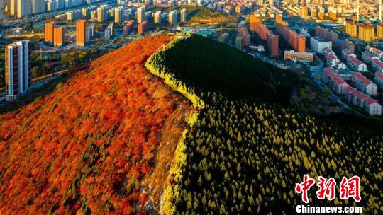 ʱڣλɽʡШɽɽֲֳƽɫ׳һɫһɫ˳棬Ϊȥι 