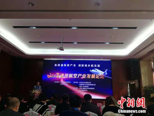 2018通用航空产业发展论坛现场 中新网记者 张尼 摄