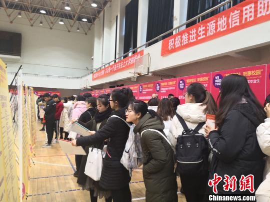 图为高校毕业生在生源地信用助学贷款毕业生专场招聘会现场寻觅职位。 崔琳 摄