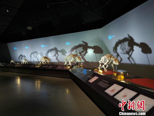 ͼΪչչĲͬʱڵèǼܡ͢ 