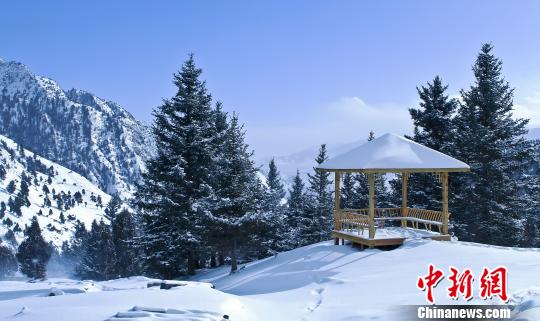 青海哈里哈图国家森林公园雪景美若人间仙境