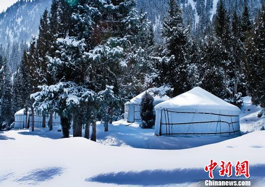 图为被白雪覆盖的哈里哈图国家森林公园一角。 钟欣 摄