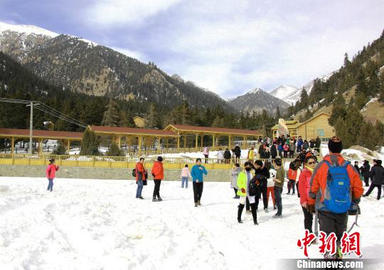 图为哈里哈图国家森林公园游人如织,纷纷前来观赏雪景。 钟欣 摄