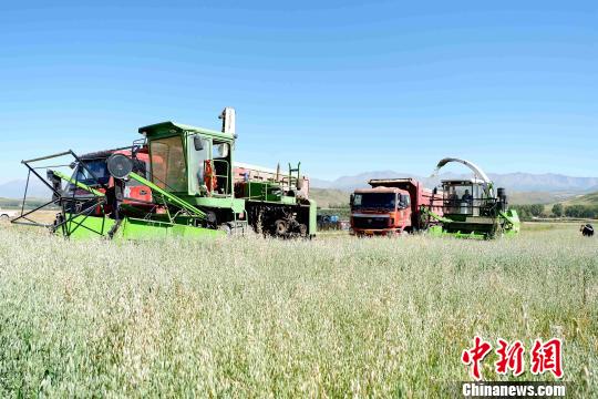 青海乡村振兴战略规划出台将推进122项战略行动