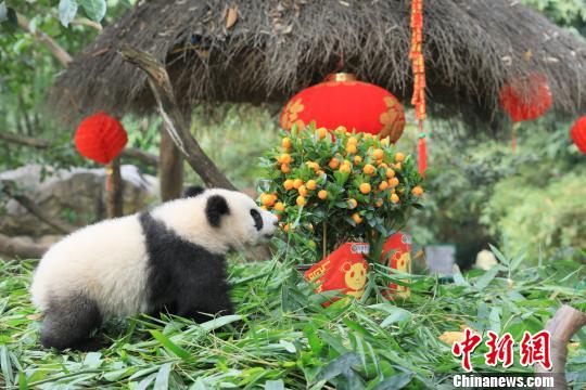 129ֵũإģ㶫ͳףǡըӡգݳ¡Ұֻè¡ССɰģӭӡܡ׸йũꡣF 