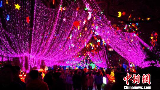 2019㶫ƻʶĿҫˣڶοǰ͡ 