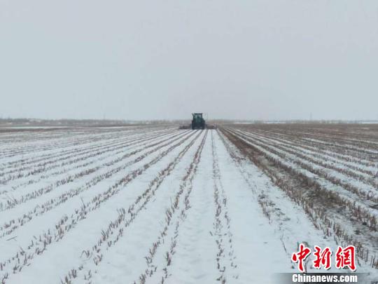 新疆兵团北部团场破雪迎春播农田积雪仍达20余公分