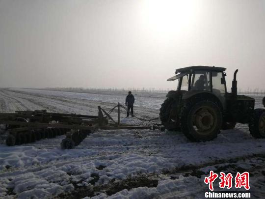一八四团职工组织机车田间地头破雪迎春播。 王新栋 摄