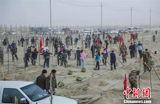 3月25日,库尔勒市市民在上库园区石油石化产业园区植树造林现场。 陈彦强 摄