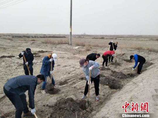 3月25日,库尔勒市市民在外环路植树。 陈彦强 摄