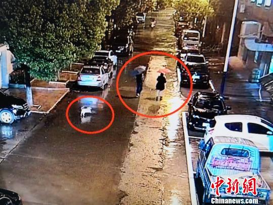 夫妻俩偷车后消失踪影没想到被爱犬“出卖”了住址