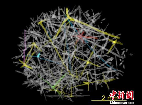 е¿ѧҷԭλ屣亣໯ʯ