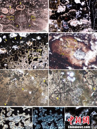 ͼΪţ׿ҵʯѧк໯ʯ档Ϲ ͼ