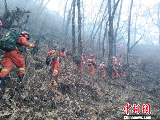 丽江宁蒗县突发森林火灾各线火势已得到控制