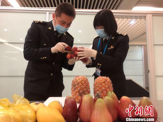 义乌海关关员正在清点查获的热带水果 金淑萍 摄