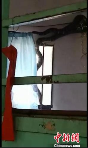 ͼΪһ۾뻧ɽȻԴֹͼ