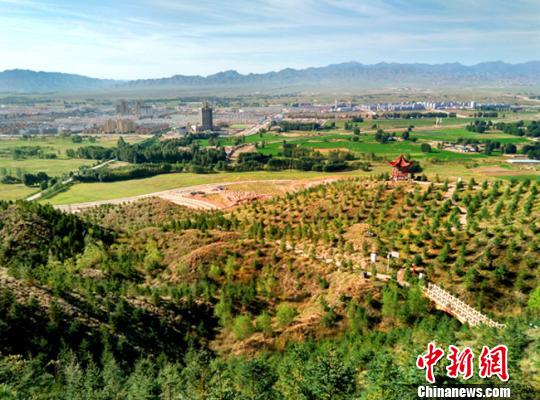 图为地处戈壁的永昌县北海子景区人工林景观。(资料图) 吕兆 摄