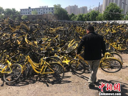 工作人员将回收的共享单车集中摆放在一起。 韦亮 摄