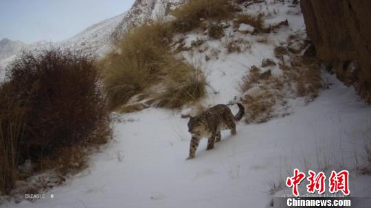 ͼΪ㵽ѩƬలĮҼȻֹͼ