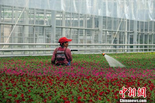 ԰ᡰԺڣԱĲչֲˮԷ 