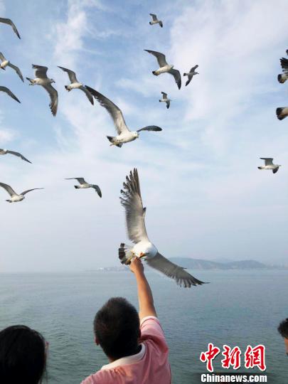 山东长岛打造中国海洋生态文明的海岛样板