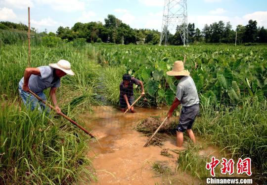 江西余干灾后见闻:洪水渐退群众生产自救忙