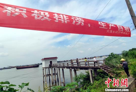 7月17日中午,江西余干县大溪乡鹧鸪嘴电排站,大溪乡党委书记王帅亮等人在查看排涝进展情况。 王昊阳 摄