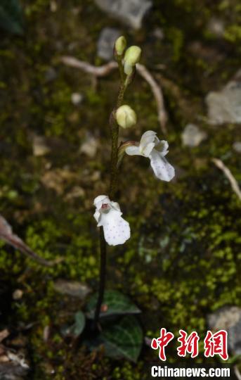 �Ž���������������� ��