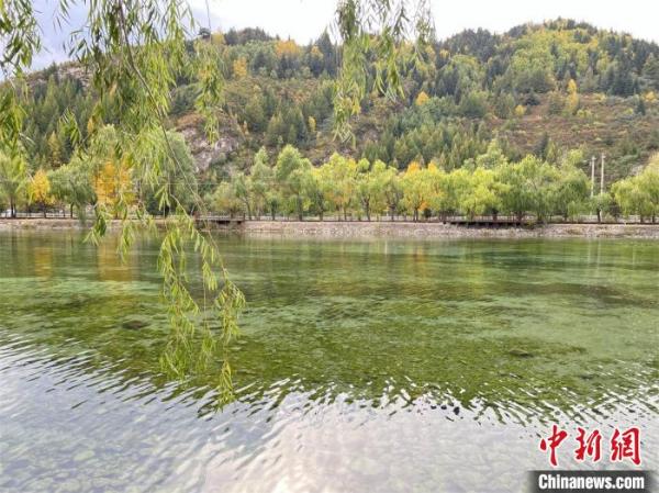 千年汾河,水韵悠悠。 杨杰英 摄