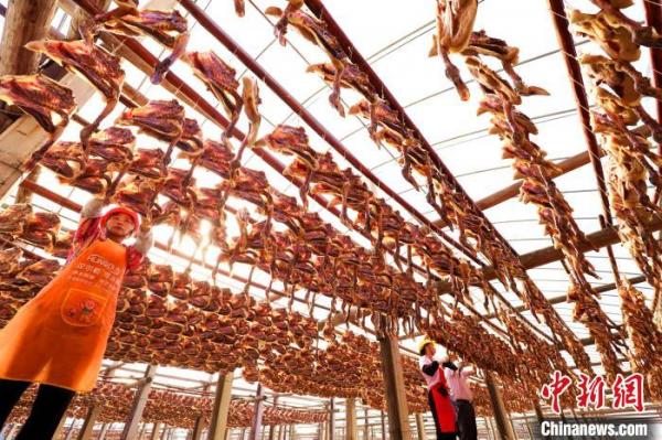 ͼΪ��������Ĺ����Ƕ԰�Ѽ�����ͽ��е������� Ҷ���� ��