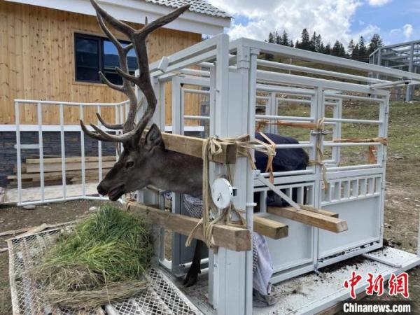 ͼΪ����������¹��������ɽ���ҹ�԰�ຣʡ�����ֹ�ͼ