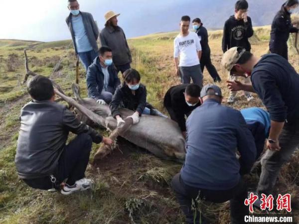 ͼΪ�����ֳ���������ɽ���ҹ�԰�ຣʡ�����ֹ�ͼ