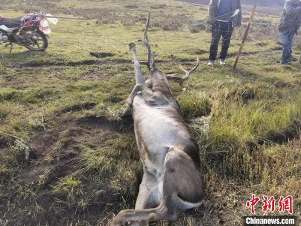 ͼΪ����������¹��������ɽ���ҹ�԰�ຣʡ�����ֹ�ͼ